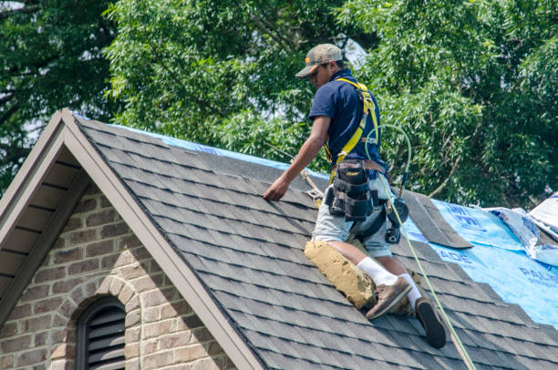 Quick and Trustworthy Emergency Roof Repair Services in Gaylord, MN