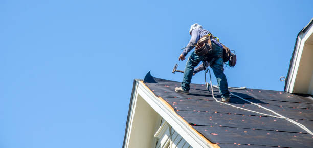 Best Storm Damage Roof Repair  in Gaylord, MN
